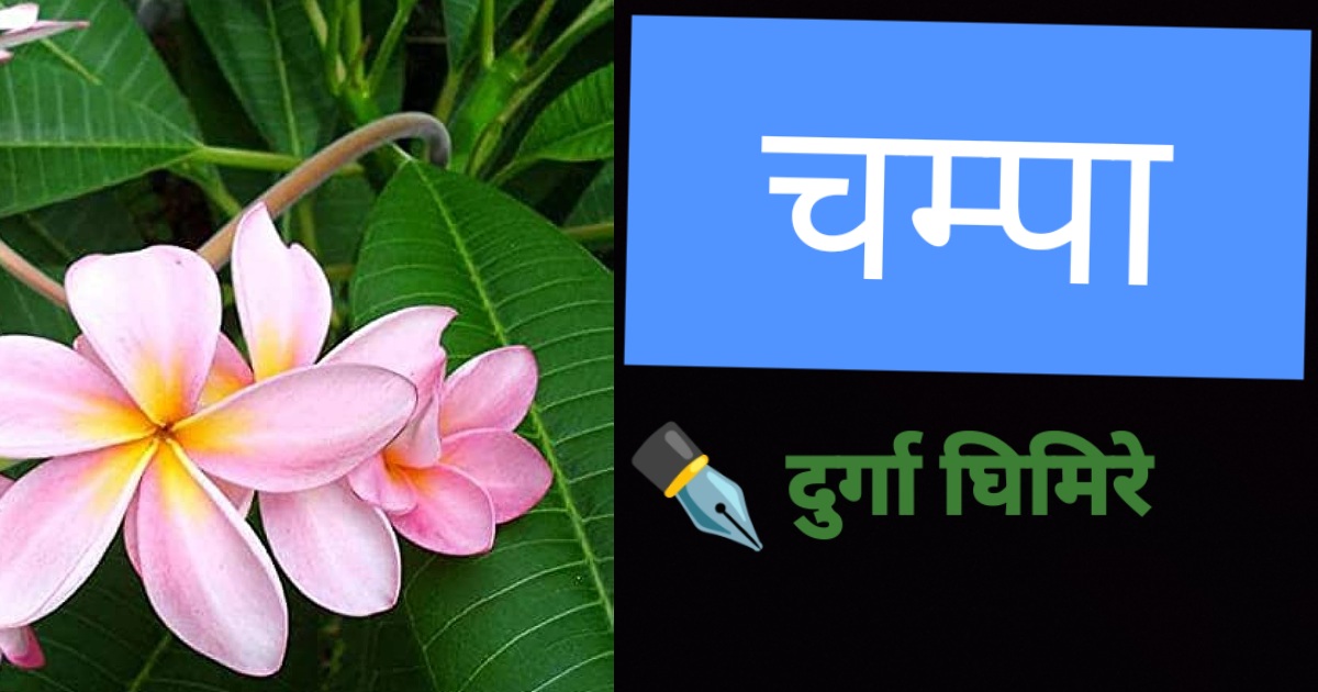 चम्पा