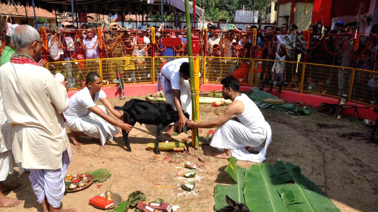 आज महानवमी पर्व : दुर्गा भवानीको पूजा आराधना गरी बलि दिएर मनाइँदै