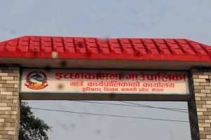 इच्छाकामनामा पछिल्लो २४ घण्टामा थपिए १३ जना  डेङ्गु संक्रमित