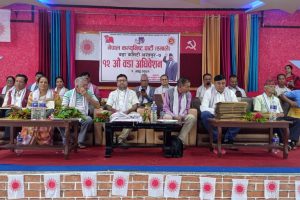 चितवनमा धमाधम गतिविधि बढाउँदै एमाले : भरतपुरमा एकैदिन ४ वडाको अधिवेशन