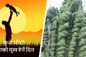 घरघरमा कुश भित्र्याएर कुशे औँसी मनाइँदै, बुवाको मुख हेर्ने दिन पनि आजै