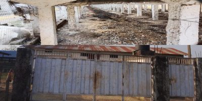 भरतपुर–२५ मा मङ्गलम पोल्ट्रीको दुर्गन्धले स्थानीय र निकुञ्जका वन्यजन्तु प्रभावित